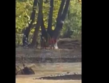 Δείτε στιγμή προς στιγμή τη διάσωση του 27χρονου στην Εύβοια (βίντεο)